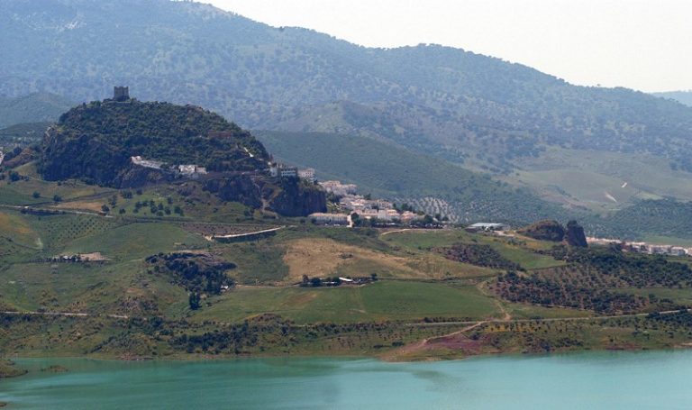 ADJUDICACIÓN DIRECTA DE APROVECHAMIENTO DE PASTOS EN EL EMBALSE DE ZAHARA-EL GASTOR